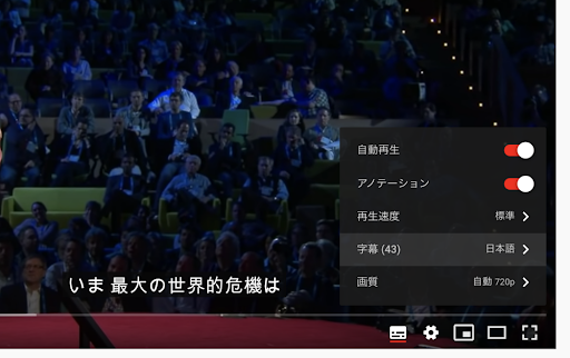 Youtubeの字幕って、どんなもの？