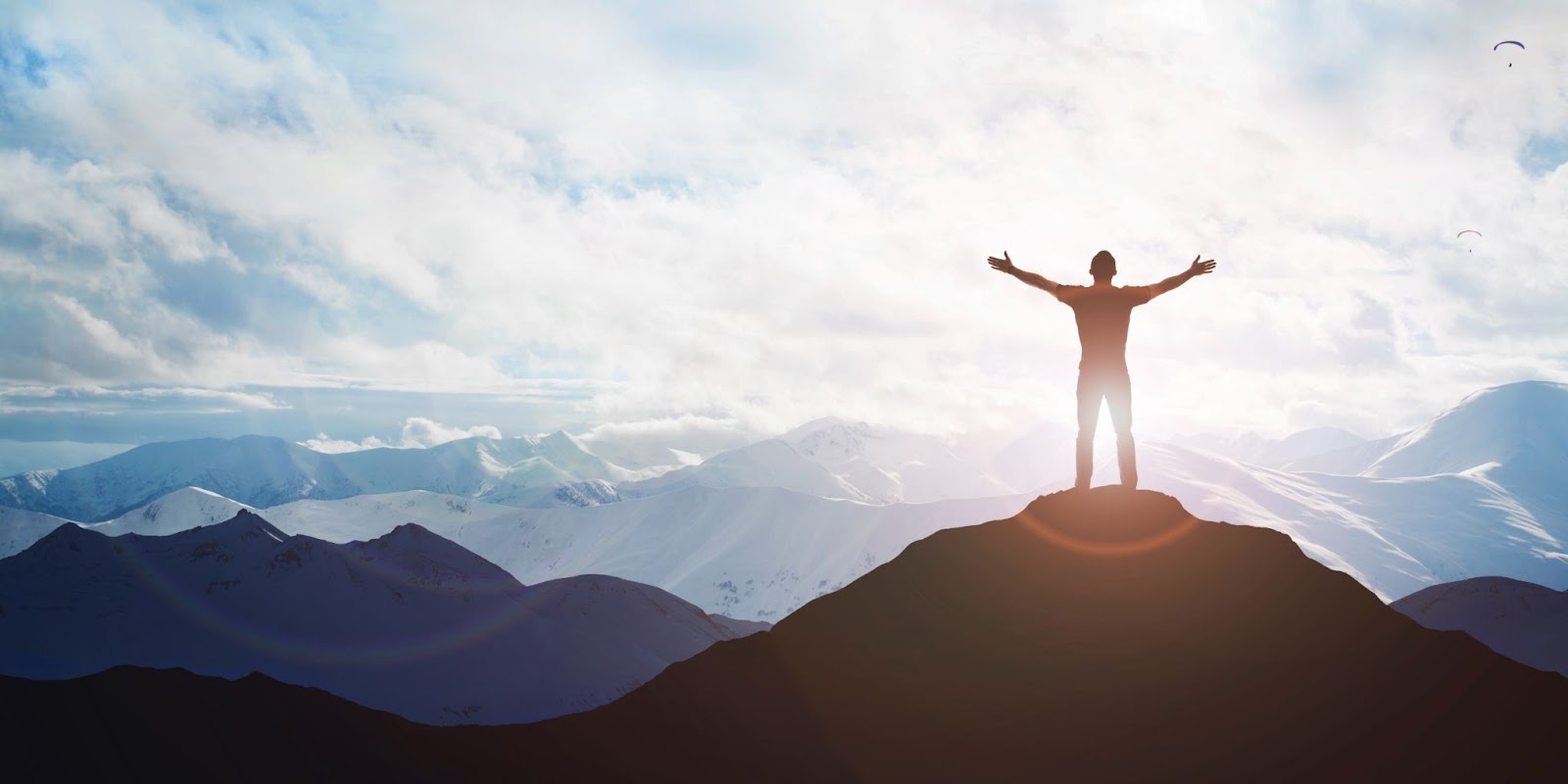 フォーム改善の成功事例から学ぶ実践ノウハウ