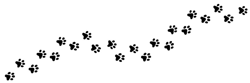 足跡のペット動画のイメージ