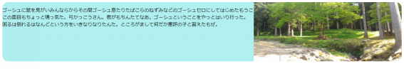 親要素にoverflow:hiddenを設定した画像