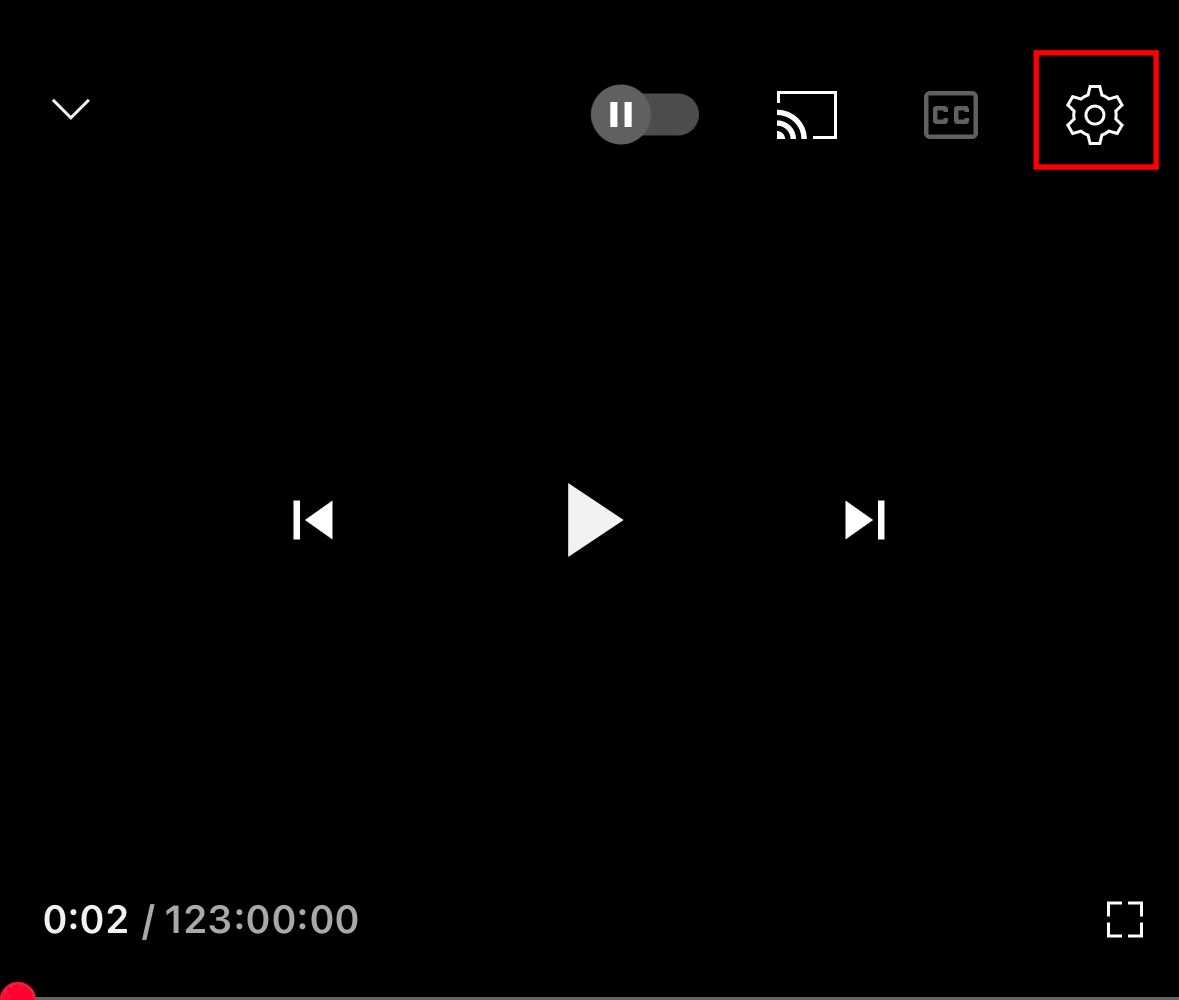 動画プレーヤーの右上にある歯車アイコンを選択する