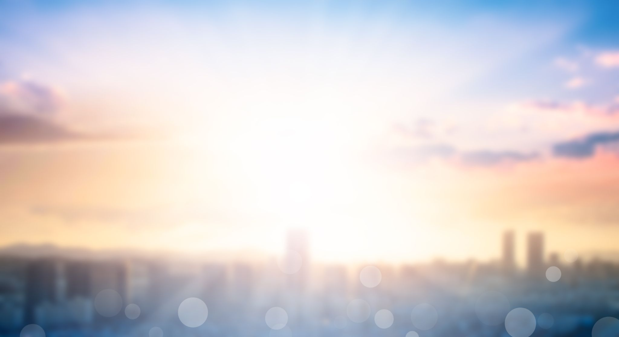 PHPの需要・将来性とキャリア