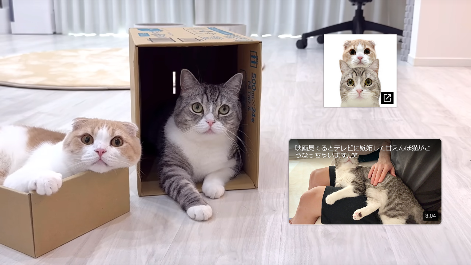 参考になる効果的なエンディングの事例：もちまる日記