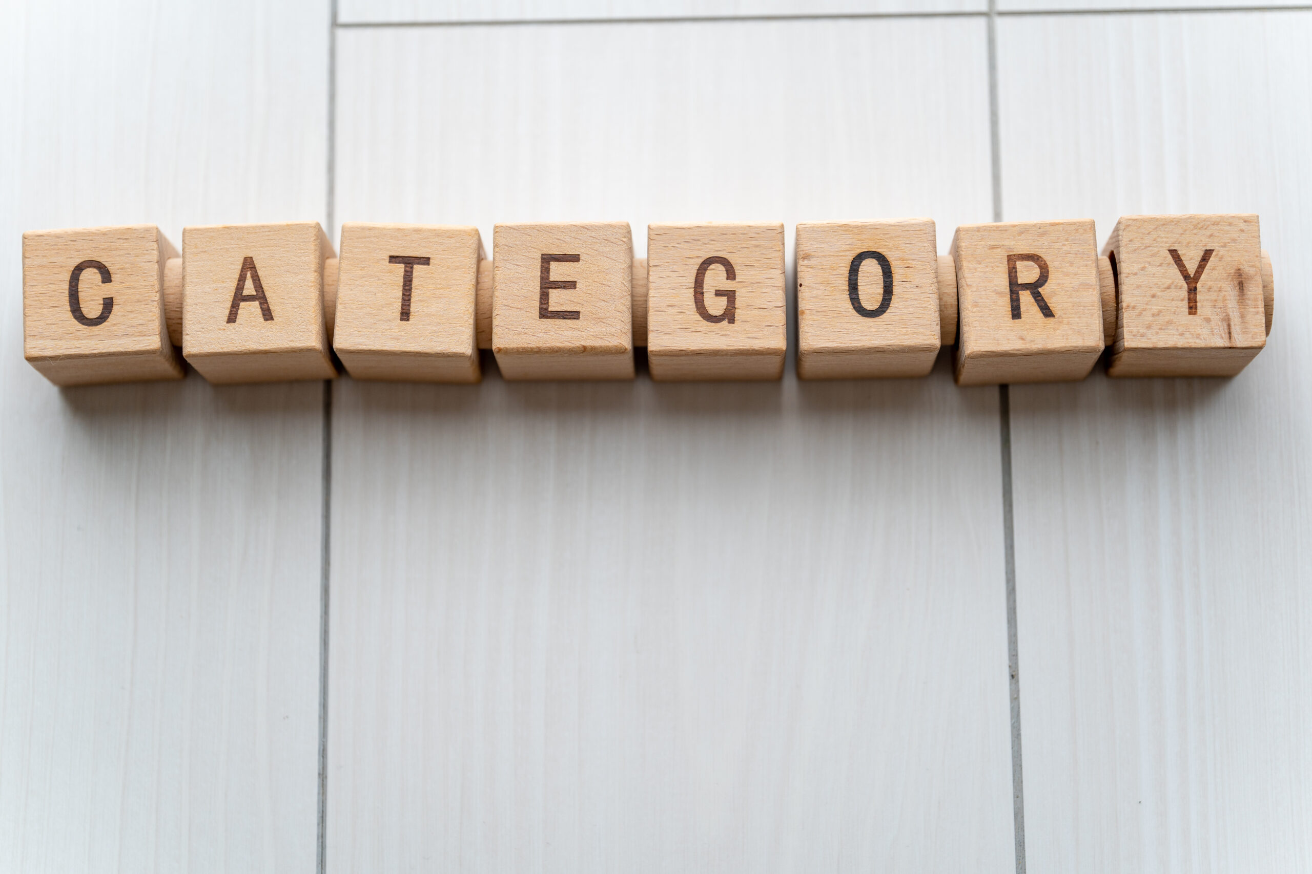 X（旧Twitter）動画広告の種類とフォーマット